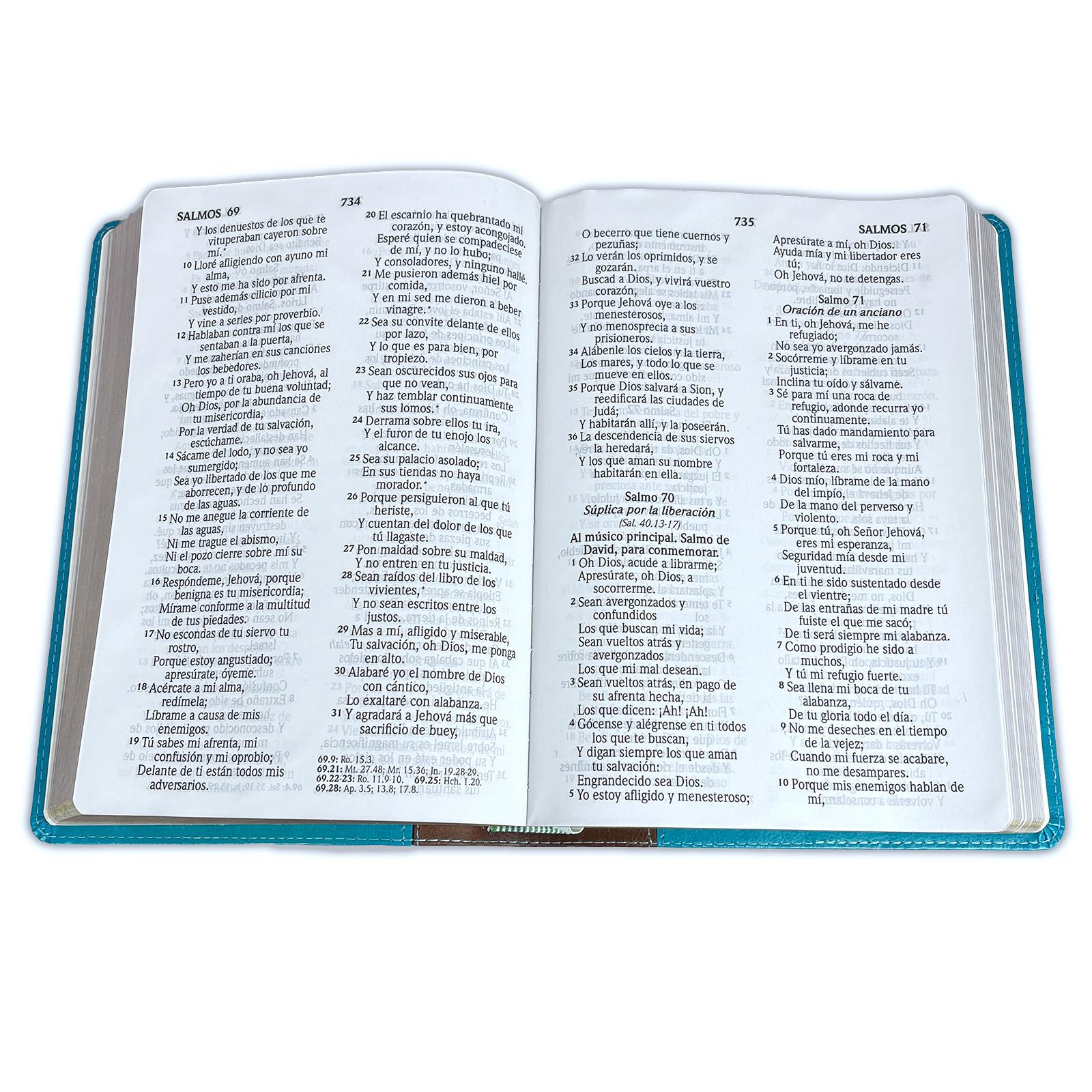 Biblia RVR1960 Letra Gigante Turquesa Marrón 14 pt
