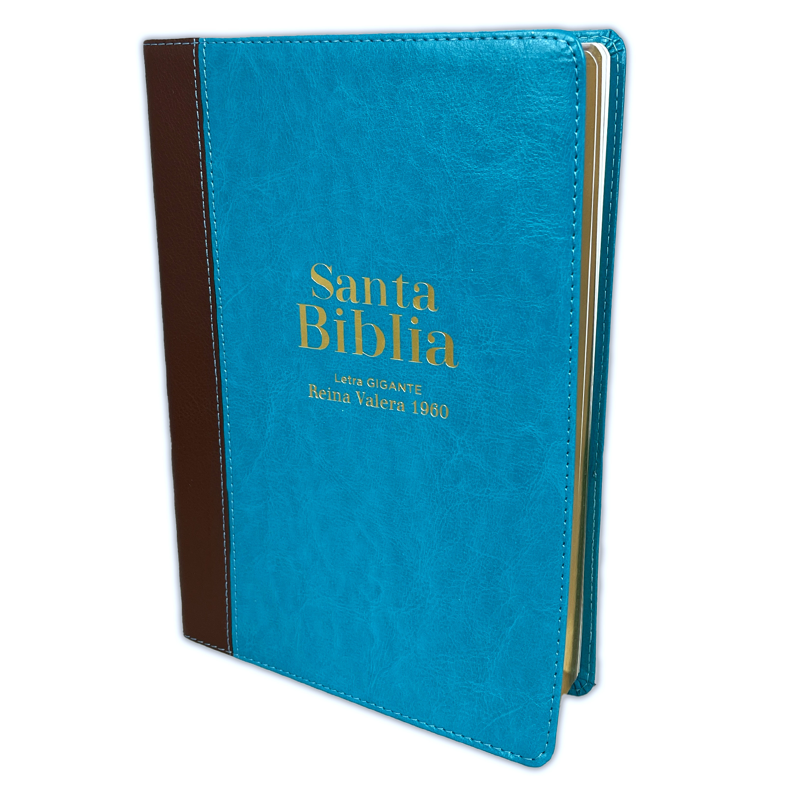 Biblia RVR1960 Letra Gigante Turquesa Marrón 14 pt