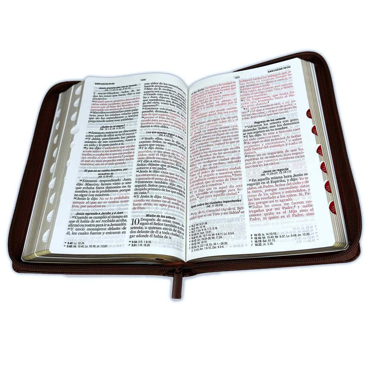 Biblia RVR1960 Letra Grande Cierre Chocolate Café Índice
