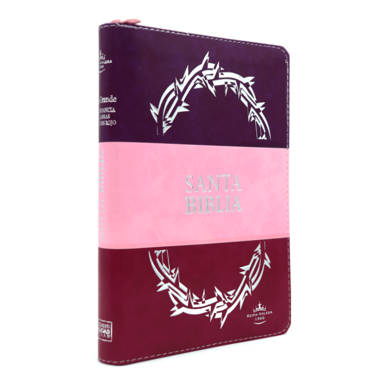 Biblia RVR1960 Letra Grande índice Para Mujer