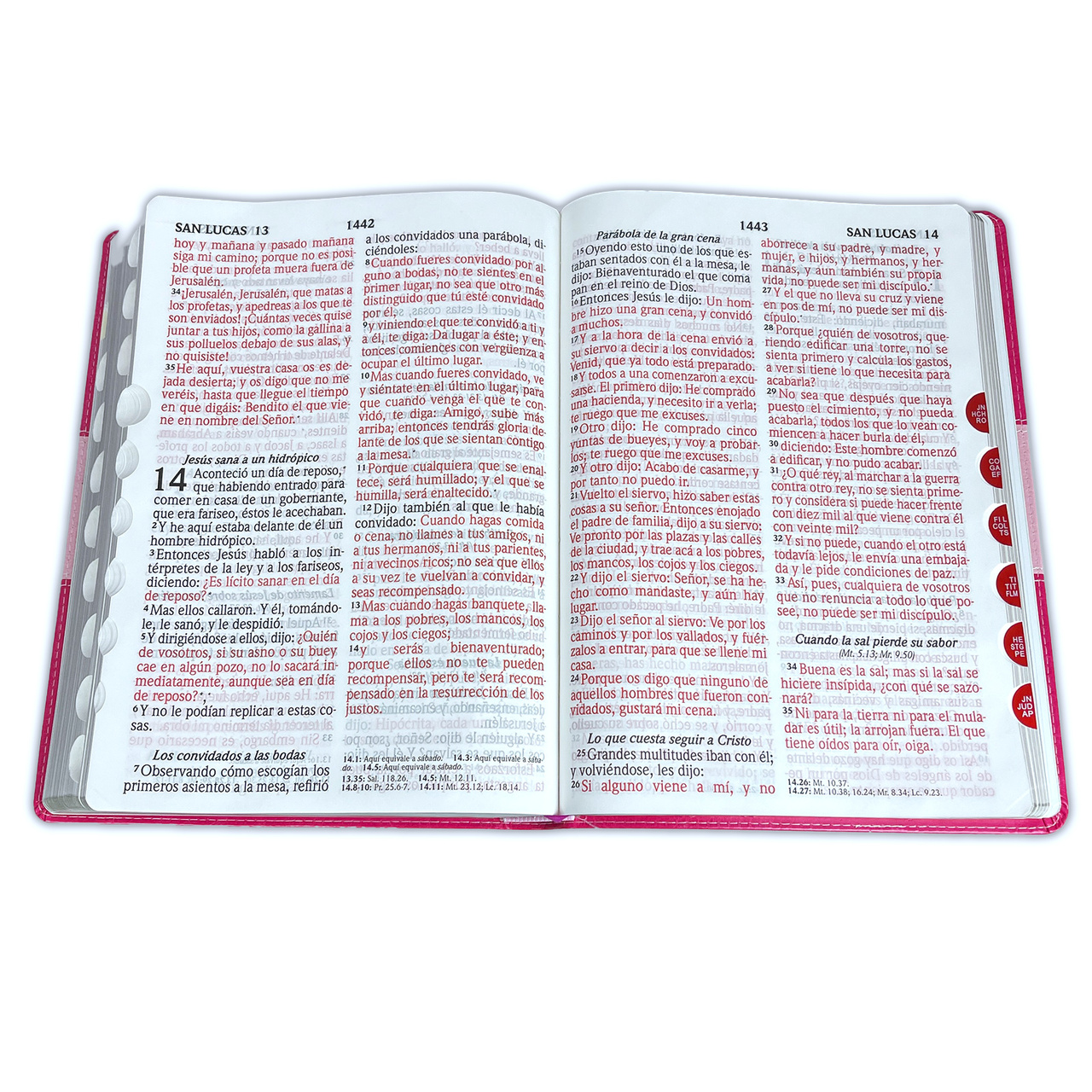 Biblia RVR1960 Letra Súper Gigante Piel Rosa Rosa Índice