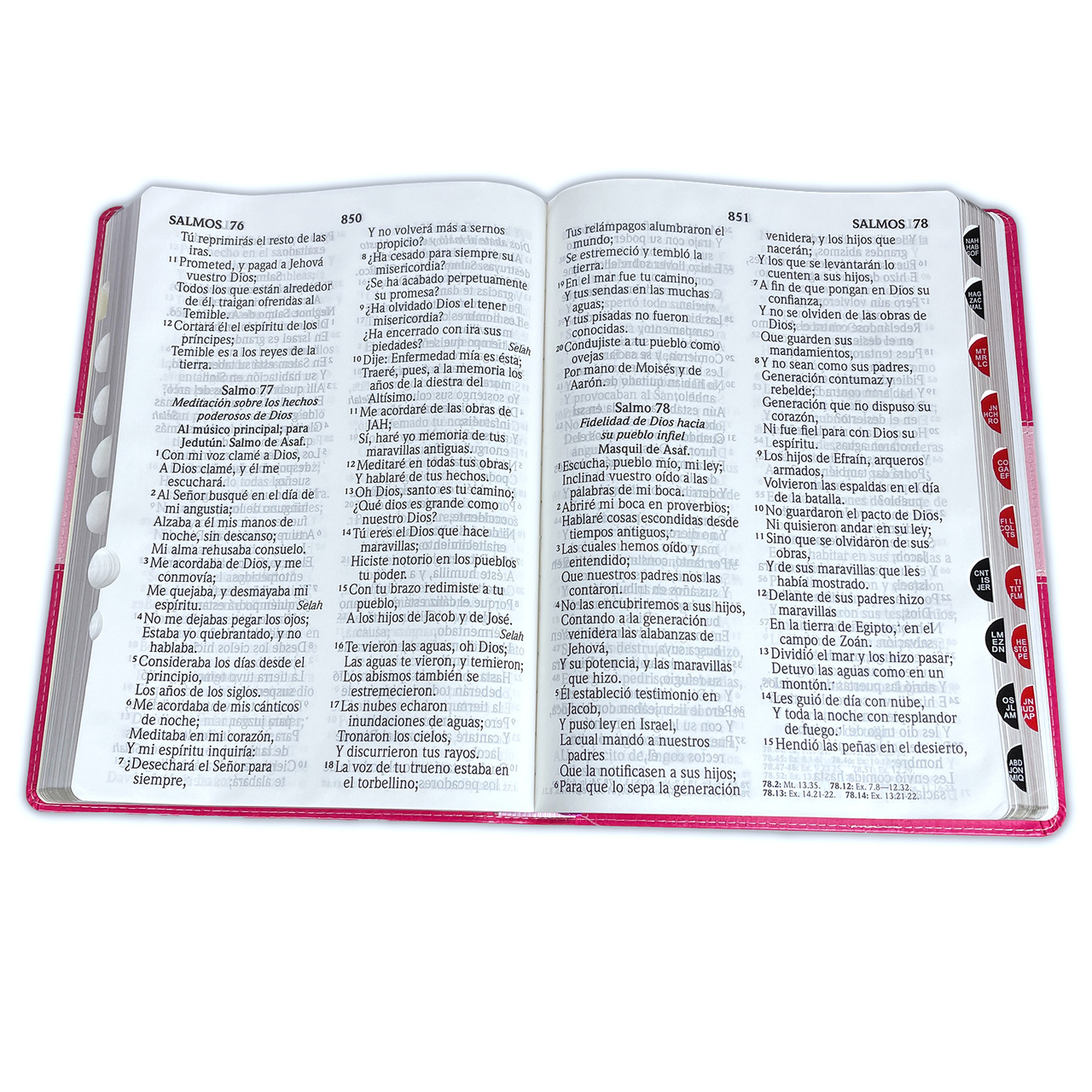 Biblia RVR1960 Letra Súper Gigante Piel Rosa Rosa Índice