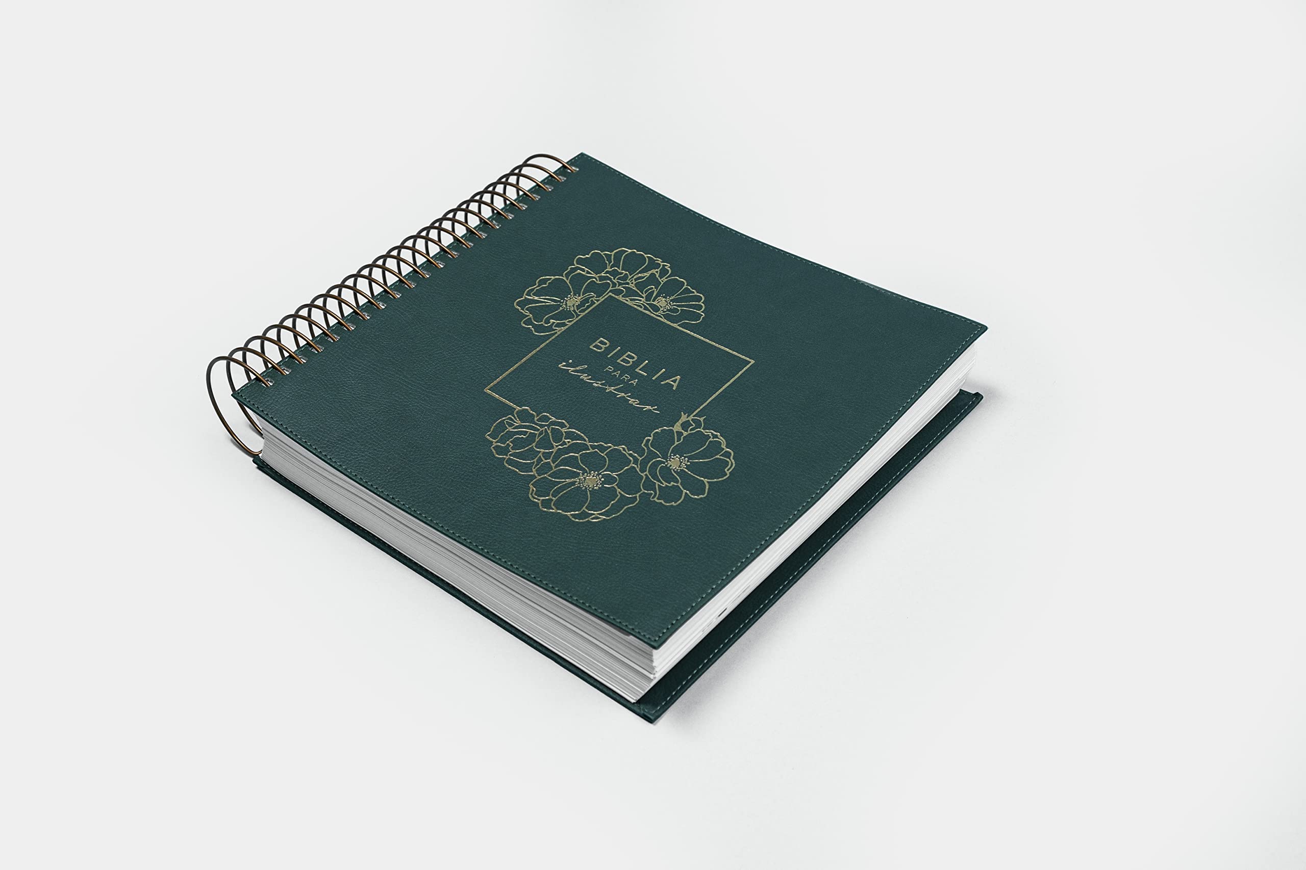 Biblia RVR1960 Para Ilustrar Verde Símil Piel 8pt