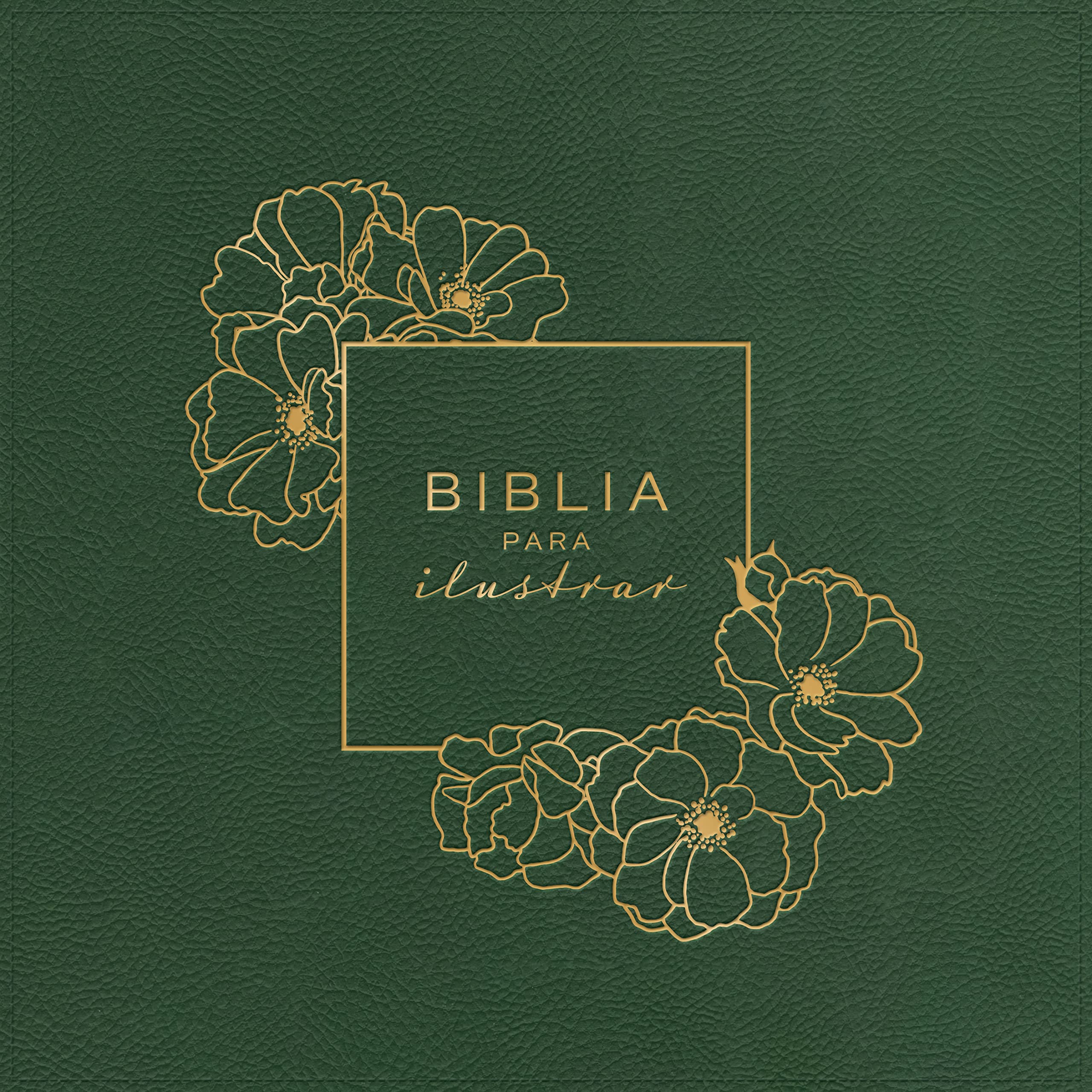 Biblia RVR1960 Para Ilustrar Verde Símil Piel 8pt