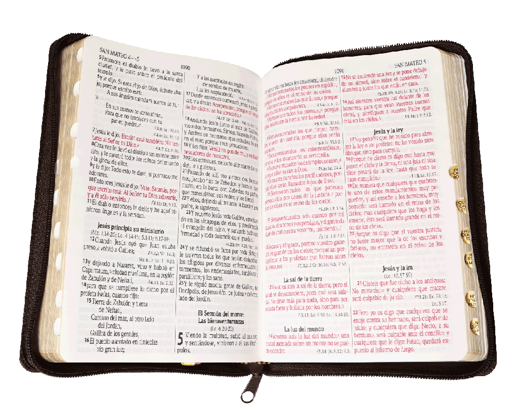 Biblia RVR1960 Piel fabricada León Café RVR066cLGPJRTIZ