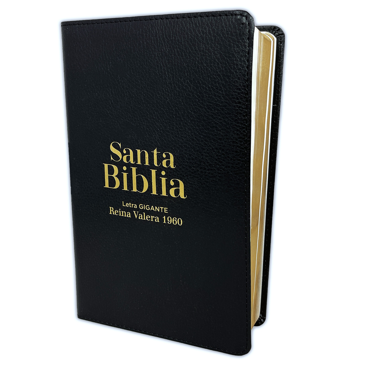 Biblia RVR1960 Tamaño Manual Letra Gigante Piel Negra