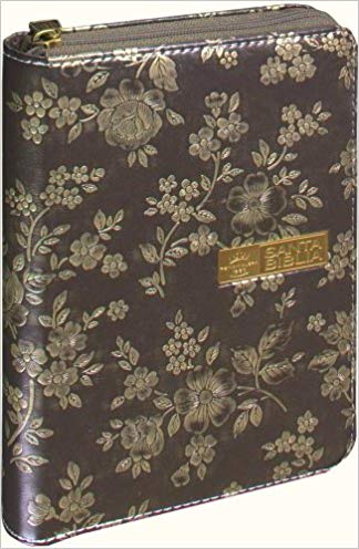 Biblia RVR60 color plateado letra grande cierre RVR045cZLGTI