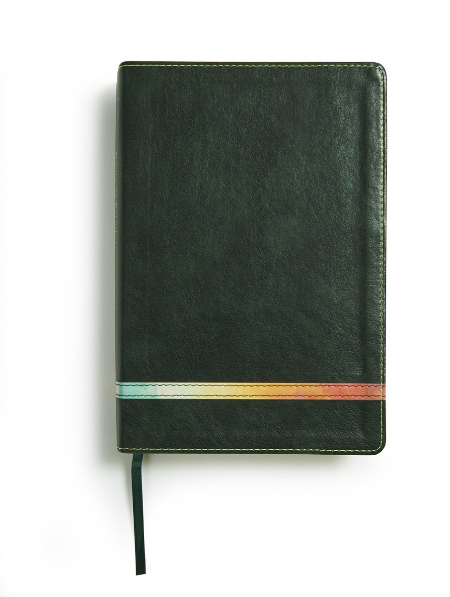 Biblia RVR60 de estudio arcoiris símil piel color verde y fr
