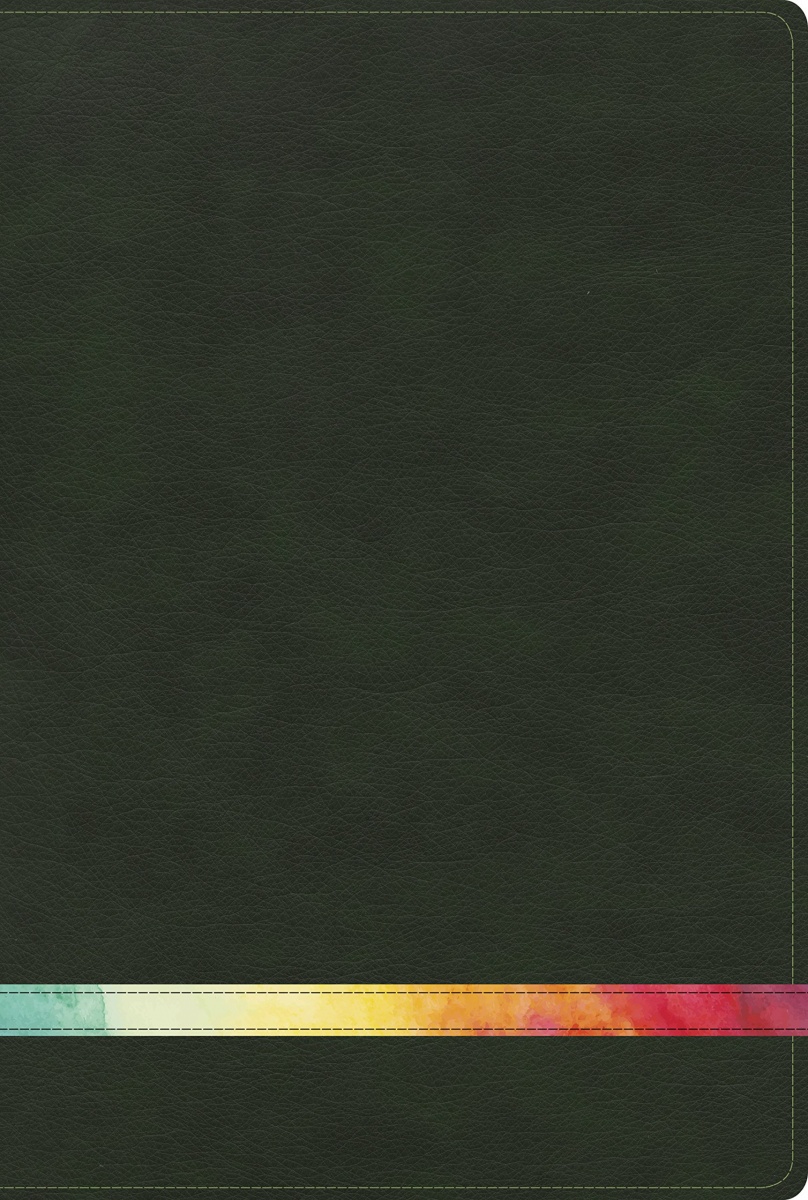 Biblia RVR60 de estudio arcoiris símil piel color verde y fr