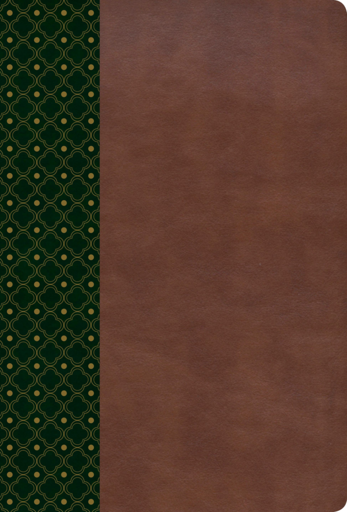 Biblia RVR60 de estudio Scofield simil piel color verde y ca
