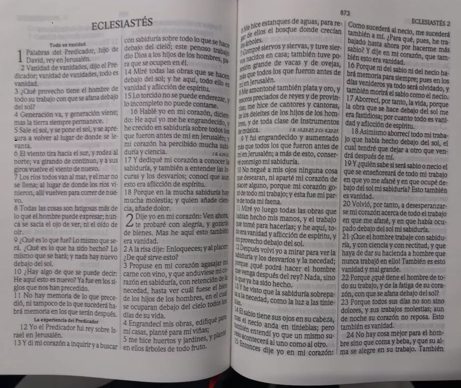 Biblia RVR60 Fucsia Rosa Pastel Cierre índice