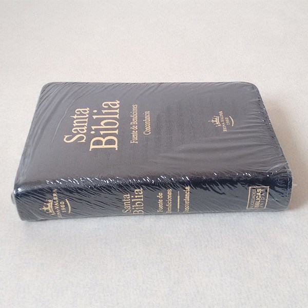 Biblia RVR60 Fuente de Bendiciones Compacta Letra Grande