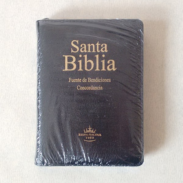 Biblia RVR60 Fuente de Bendiciones Compacta Letra Grande