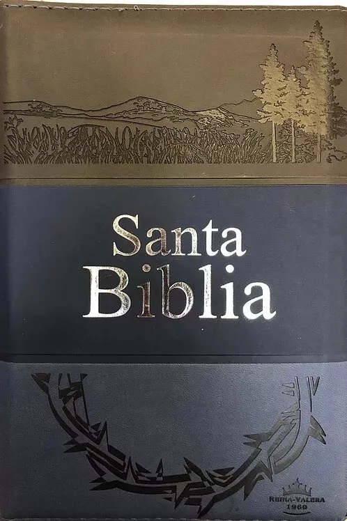 Biblia RVR60 Gris Azul Marino Cierre índice