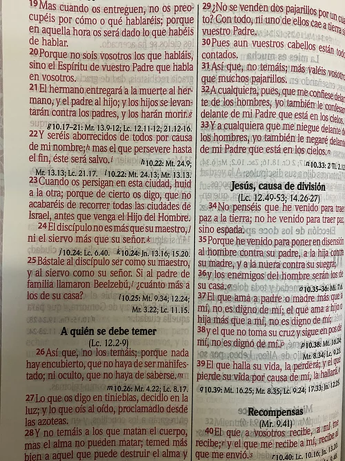 Biblia RVR60 Letra gigante imit piel rosa canto floral