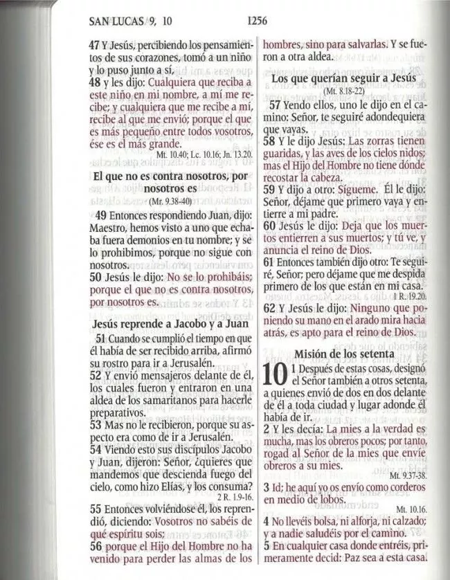 Biblia RVR60 letra gigante lila flores RVR087ZTICLGIPJR