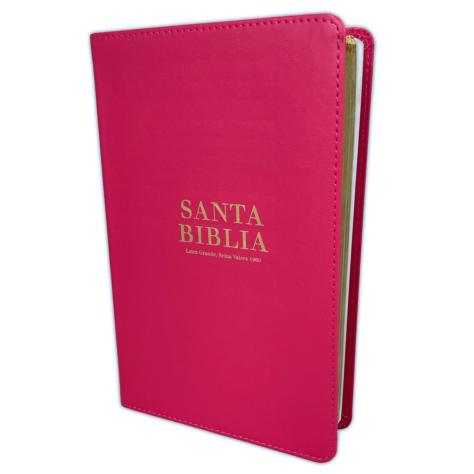 Biblia RVR60 Manual Letra Grande Coral con Dorado