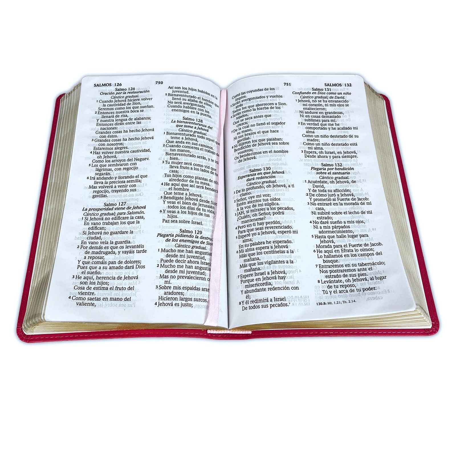 Biblia RVR60 Manual Letra Grande Coral con Dorado