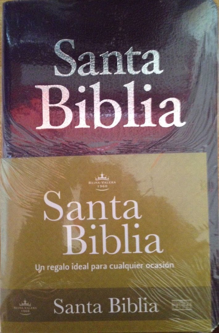 Biblia RVR60 mediana imitación económica lila RVR065e