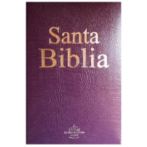 Biblia RVR60 mediana imitación económica lila RVR065e