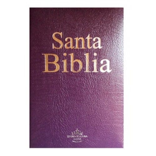 Biblia RVR60 mediana imitación económica lila RVR065e