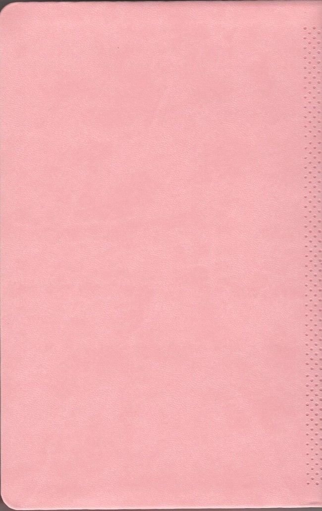 Biblia RVR60 mediana letra grande rosa claro RVR065LGPJR