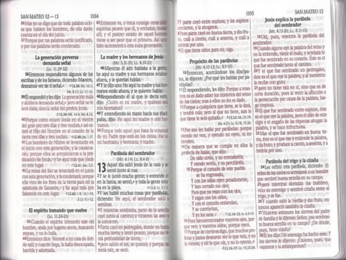 Biblia RVR60 mediana letra grande rosa claro RVR065LGPJR