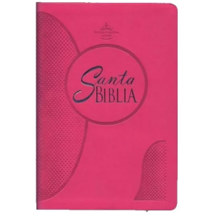 Biblia RVR60 mediana letra grande rosa RVR065cLGPJR