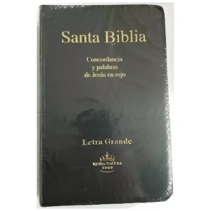 Biblia RVR60 mediana vinil color negro RVR062CLGPJR