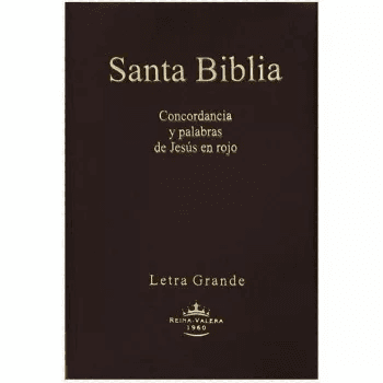 Biblia RVR60 mediana vinil color vino RVR062CLGPJR