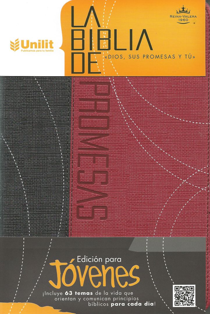 Biblia RVR60 promesas jóvenes concordancia piel gris rojo