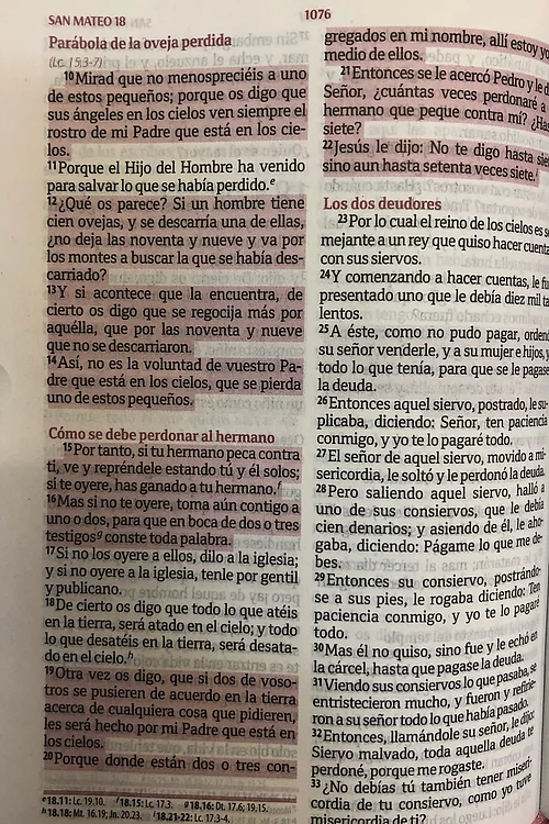 Biblia RVR60 Quinceañera imit. piel rosa cierre índice fuent