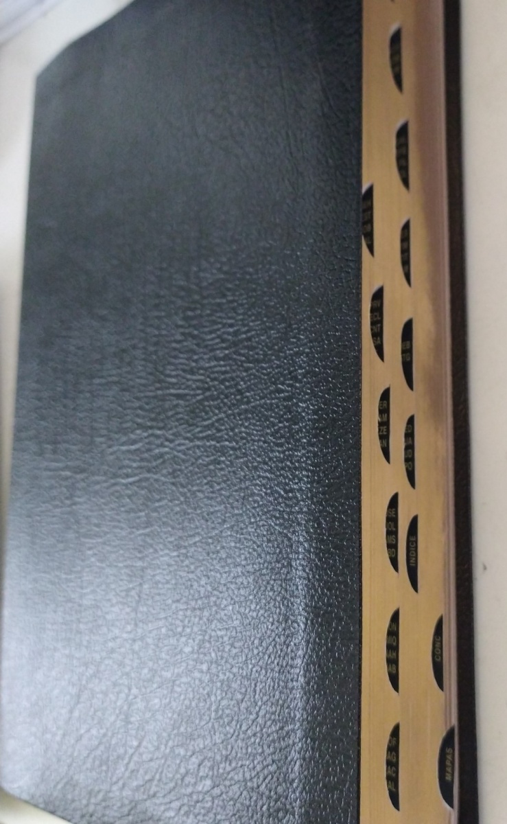Biblia RVR60 Thompson con índice piel esp negro 8660