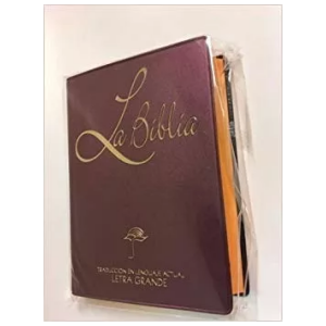 Biblia Tamaño Chico Rvr1960, Color Vino, Tapa Vinil
