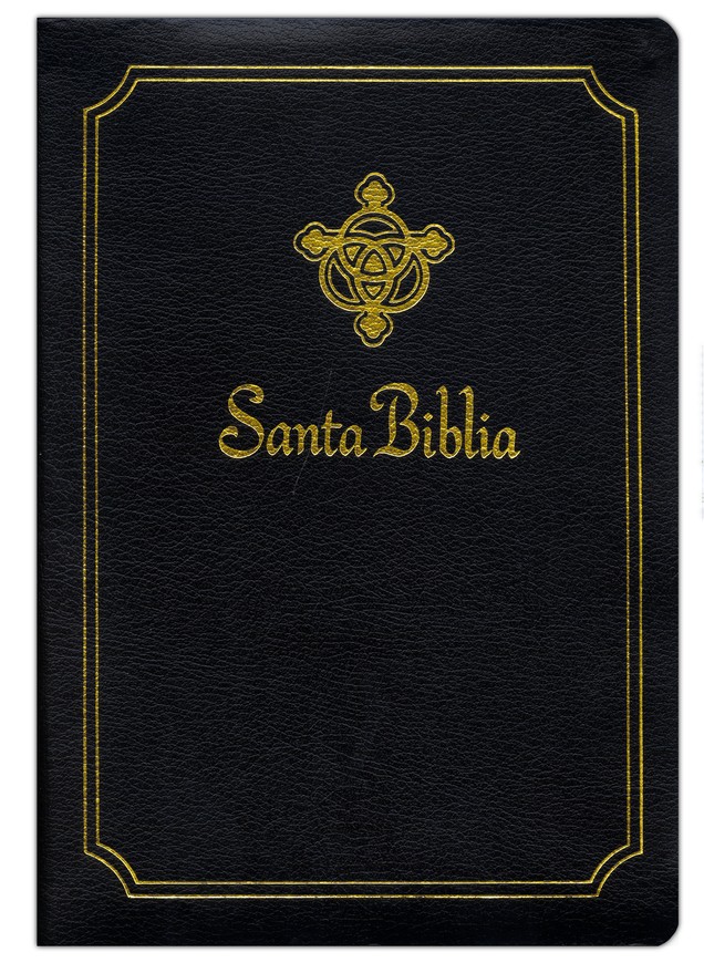 Biblia Ultra Grande Flexible Negra RV1979