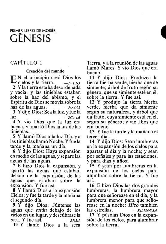 Biblia Ultra Grande Flexible Negra RV1979