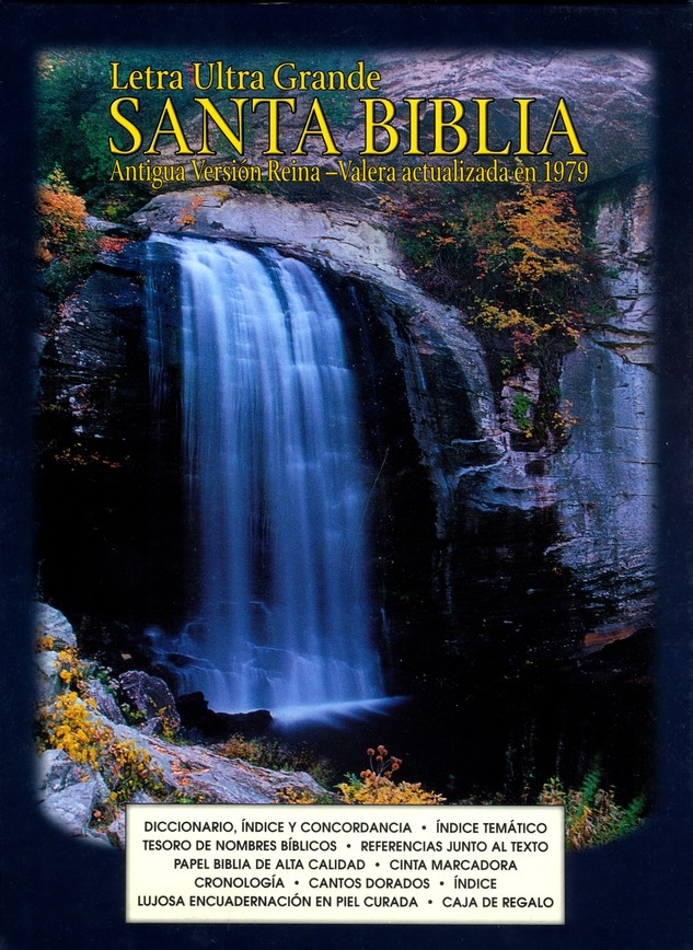 Biblia Ultra Grande Flexible Negra RV1979