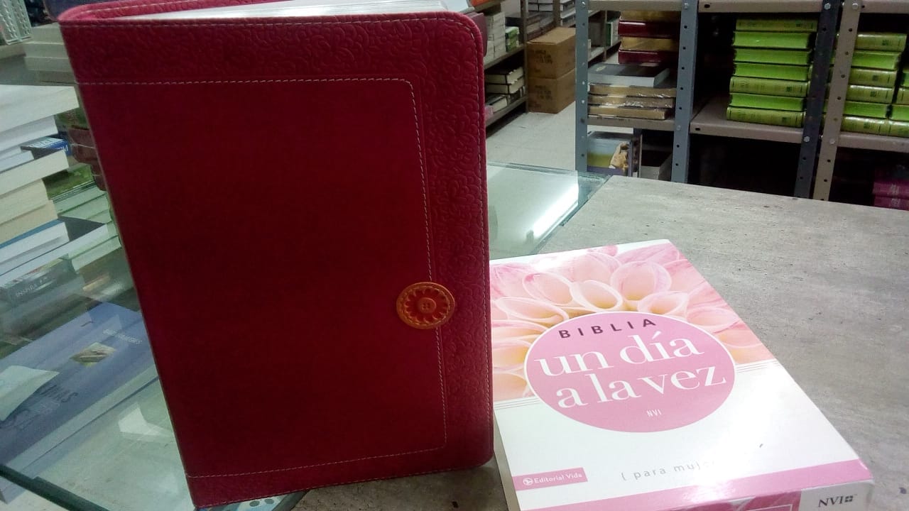 Biblia Un Día A La Vez Nvi, Color Rosa, Piel Italiana