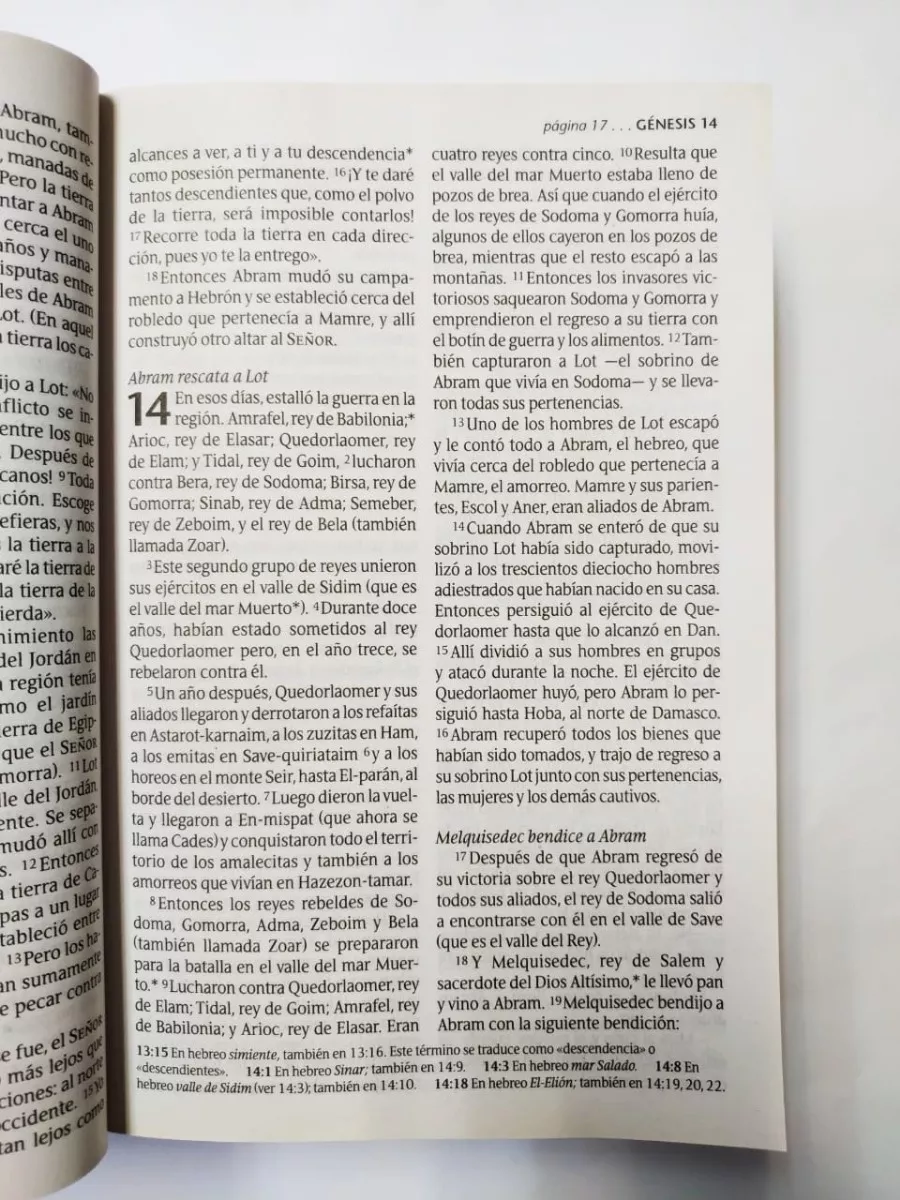 Biblia Vida abundante NTV letra grande