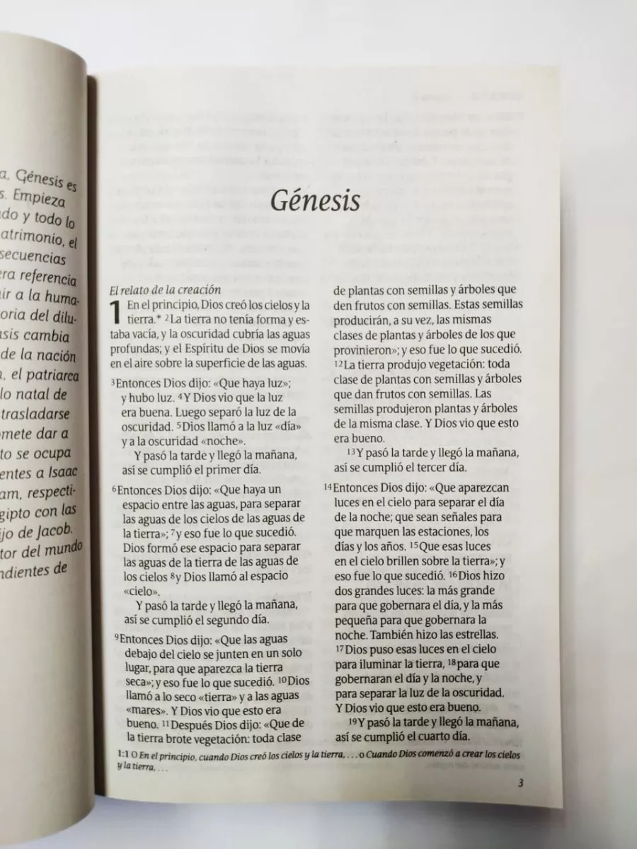 Biblia Vida abundante NTV letra grande