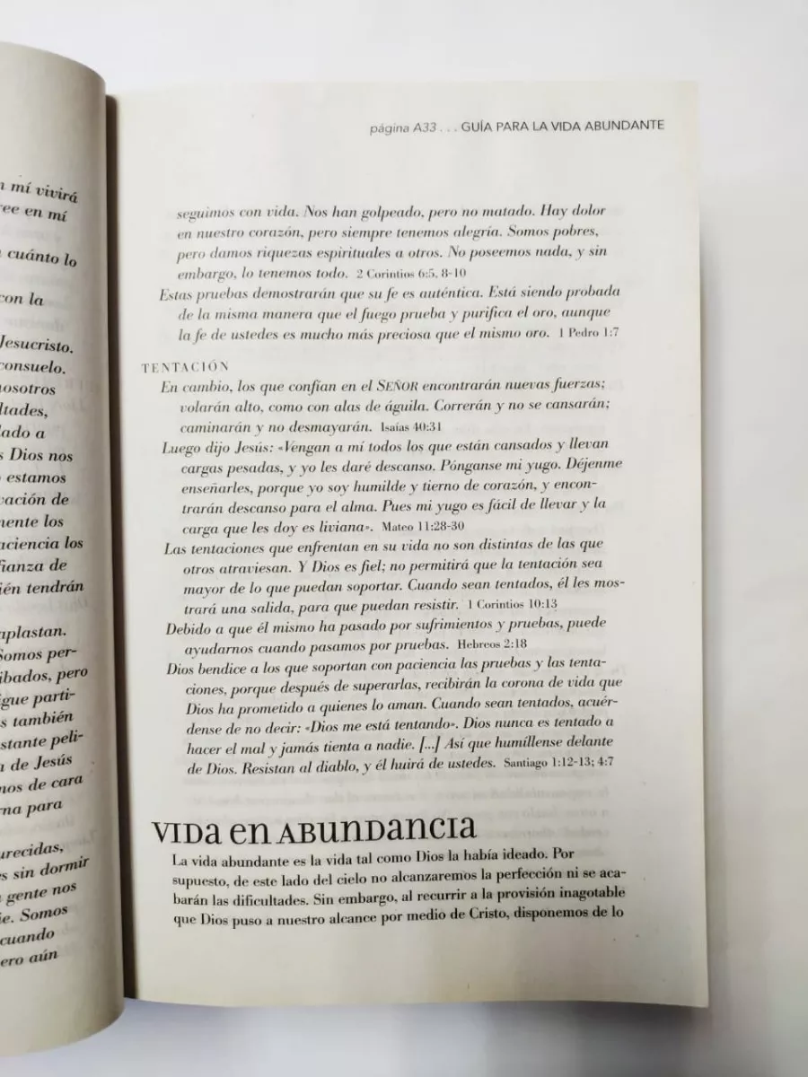 Biblia Vida abundante NTV letra grande