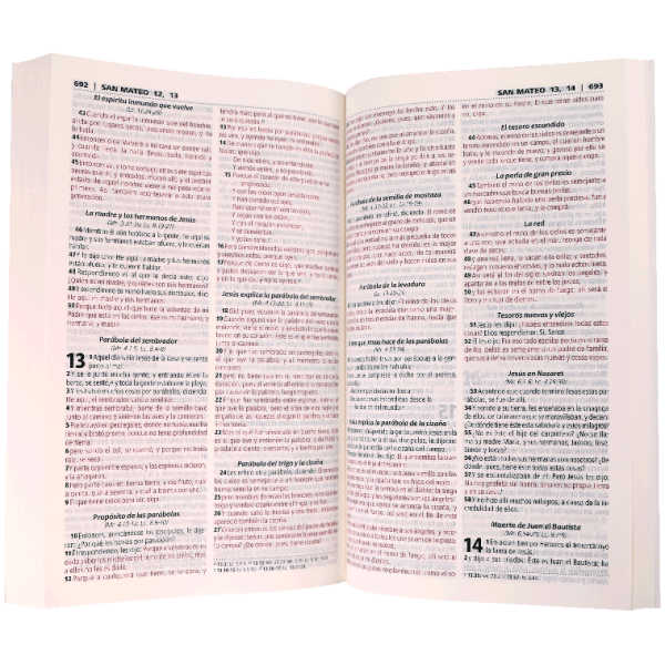 Biblia RVR1960 Misionera Económica - Image 2