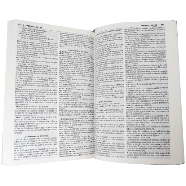 Biblia RVR1960 Contemporánea Neón RVC060M misionera - Image 2