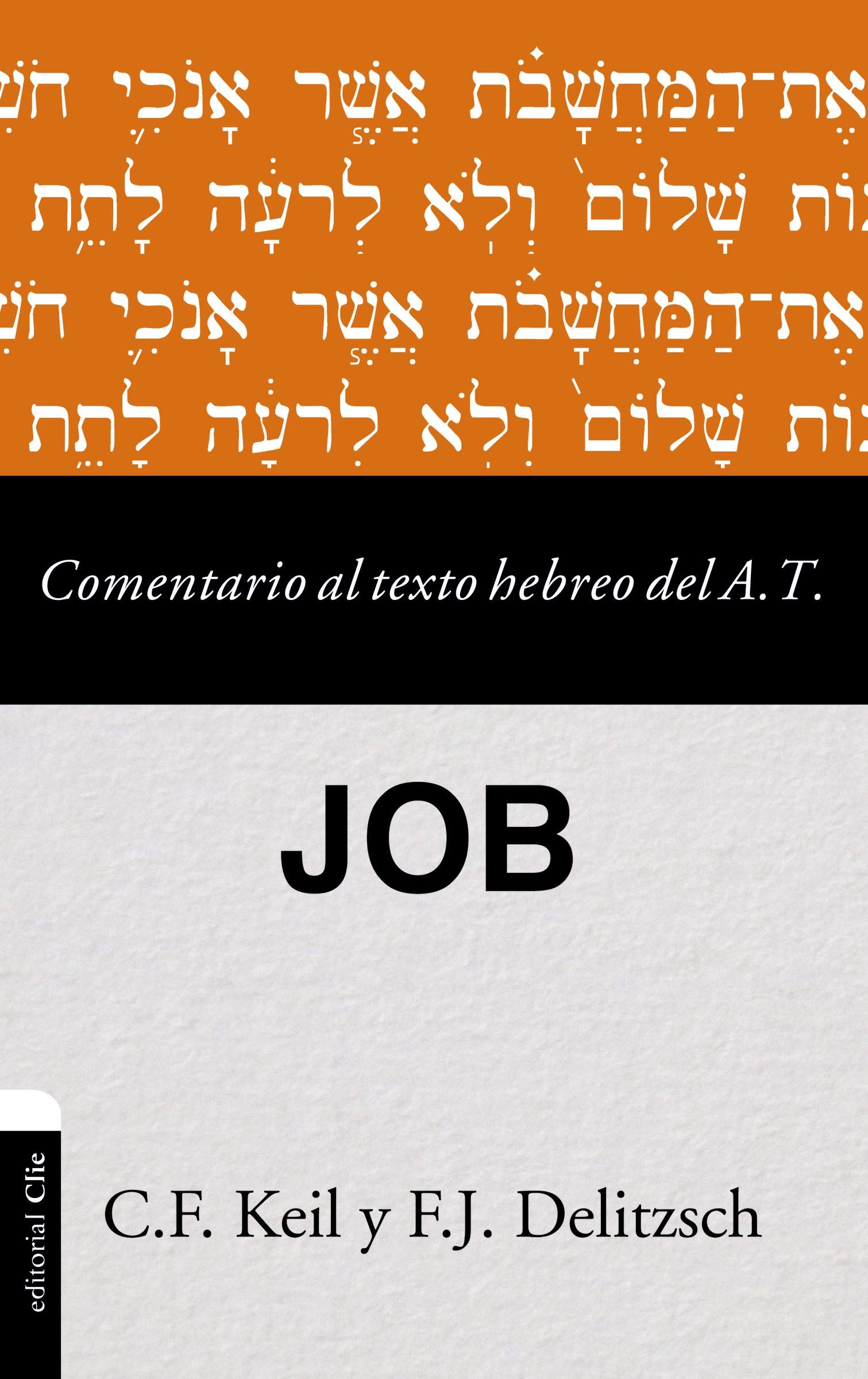 Comentario Al Texto Hebreo Del Antiguo Testamento Job