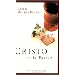 Cristo En La Pascua