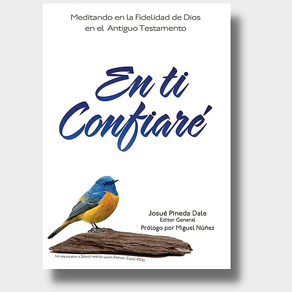 En Ti Confiaré, Antiguo Testamento