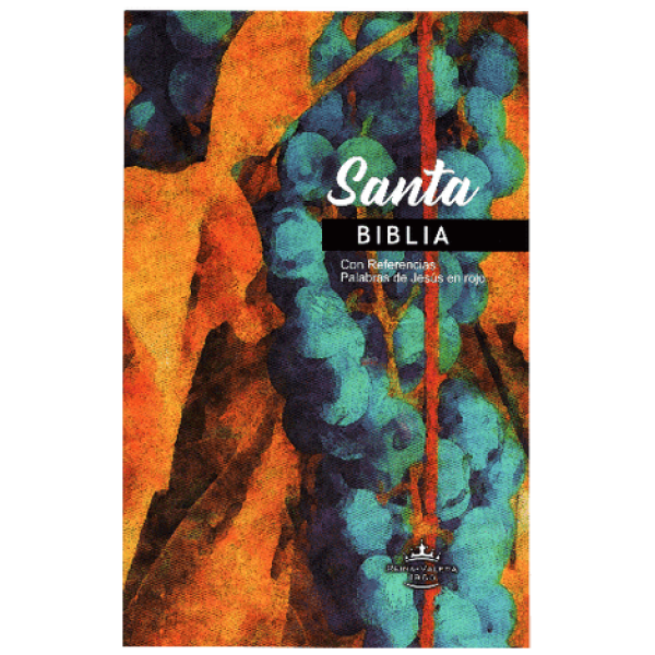 Biblia RVR1960 Misionera Económica - Image 3
