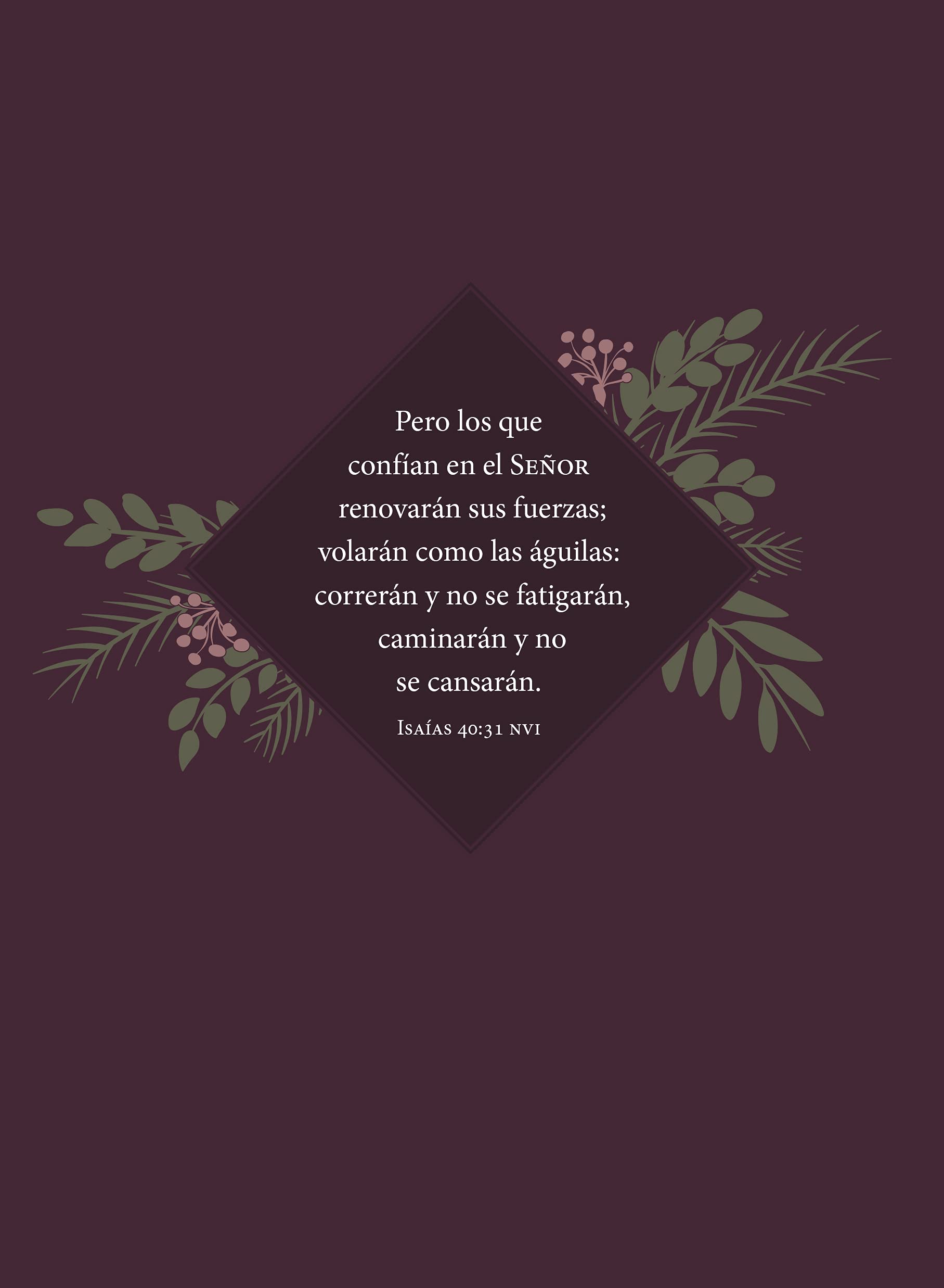 Fuerzas Para Cada Día Para La Mujer