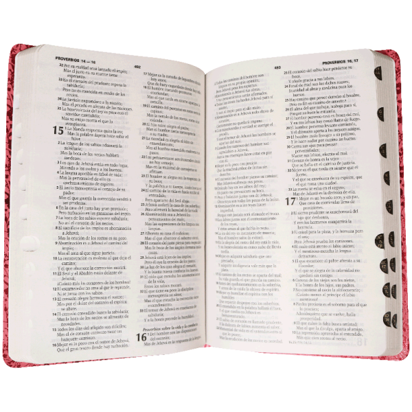 Biblia RVR60 Rosa Floral Imit Piel índice RVR067ecTI - Image 3
