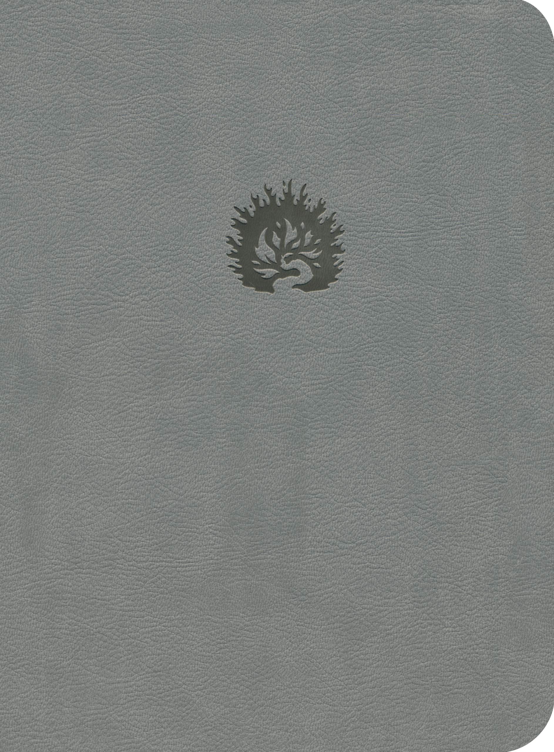 La Biblia de Estudio de La Reforma Gris